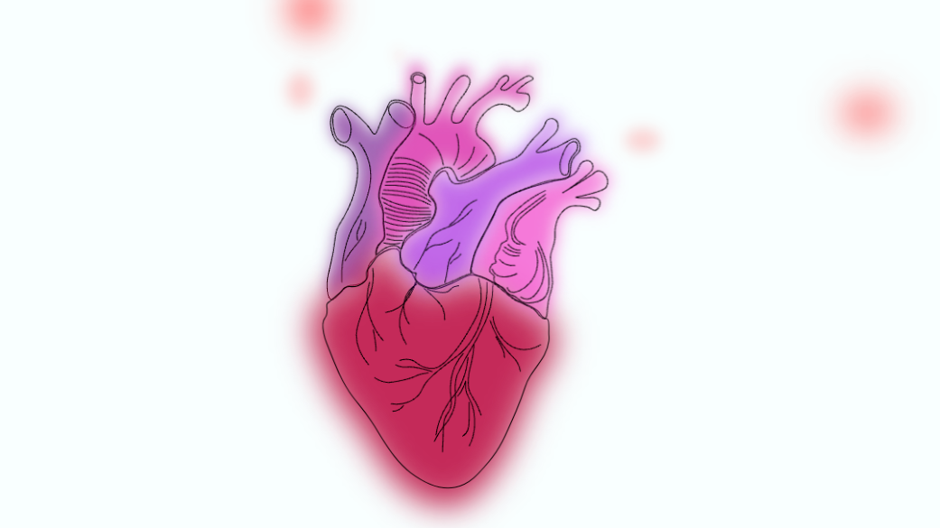 Heart animation using SVG and CSS